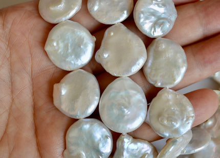 19-21mm Natural White OR Seaweed Large Coin Freshwater Pearl Beads, Large Irregular Flat Beads, Genuine Cultured Coin Pearls #219