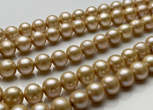 9-10 mm AAA Beige Champagne Off Round Freshwater Pearl Beads Genuine Cultured Pearl Beads Light Champagne Freshwater Pearl Beads #563