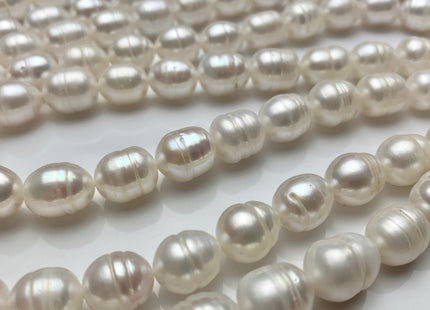 WHOLESALE 10x12 mm Natural White Rice/Oval Ringed Freshwater Pearl Beads Genuine Natural White Freshwater Pearls #301