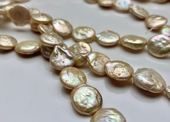 11 mm Half Strand Light Yellow Champagne Coin Freshwater Pearl Beads Genuine Cultured Coin Pearls #320