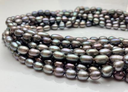 4-5x6-7 mm AAA Rice / Oval Freshwater Pearls Kendall Charcoal Gray Color Genuine Freshwater Pearls Beads Gray Color #1201