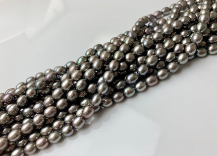 5x6-7 mm AAA Rice / Oval Freshwater Pearls Kendall Charcoal Gray Color Genuine Freshwater Pearls Beads Gray Color #1201