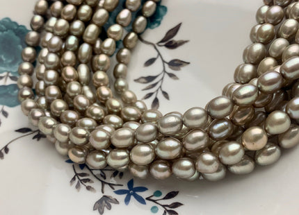 6-7x8-10 mm AAAA Rice Oval Freshwater Pearl Beads Light Sage Green Color Genuine Freshwater Pearl Beads Greenish Champagne Pearls #P1646