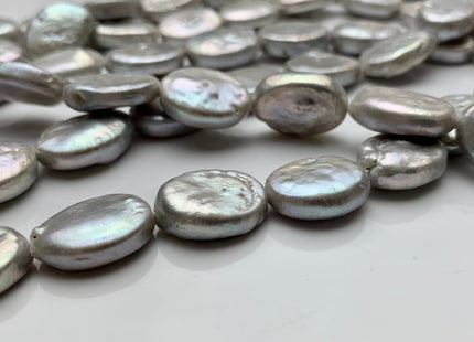 11-12x15-16 mm Silver Gray Freshwater Oval Coin Pearl Beads Genuine Coin Pearls High Luster Gray Oval Coin Pearl Beads #1791