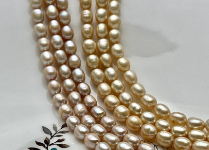 6x7-8 mm AA Champagne or Gold Rice Oval Freshwater Pearl Beads Genuine Gold or Champagne Color Rice Freshwater Pearls #P2024
