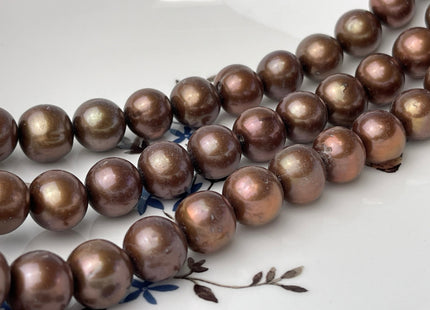 AAA 11.5-12 mm Semi-Round Chocolate Brown Genuine Freshwater Pearl Bead, Brown Freshwater Pearls, Large Round Brown Pearl #176