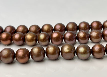 AAA 11.5-12 mm Semi-Round Chocolate Brown Genuine Freshwater Pearl Bead, Brown Freshwater Pearls, Large Round Brown Pearl #176