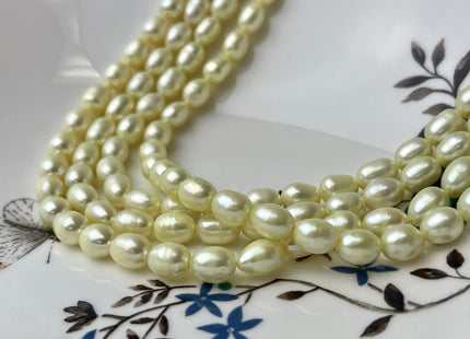 6x8 mm Rice / Oval Freshwater Pearls Baby Yellow Color Genuine Freshwater Pearl Beads Rare Baby Yellow Color Oval Pearls #1573