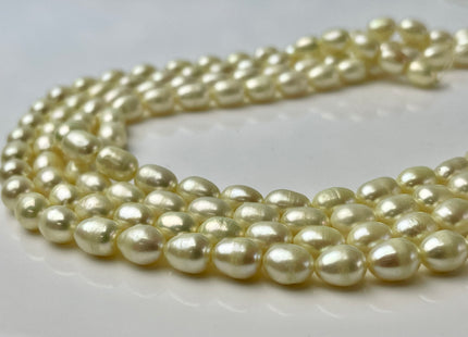 6x8 mm Rice / Oval Freshwater Pearls Baby Yellow Color Genuine Freshwater Pearl Beads Rare Baby Yellow Color Oval Pearls #1573