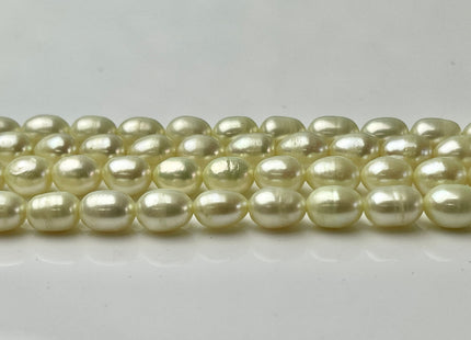 6x8 mm Rice / Oval Freshwater Pearls Baby Yellow Color Genuine Freshwater Pearl Beads Rare Baby Yellow Color Oval Pearls #1573