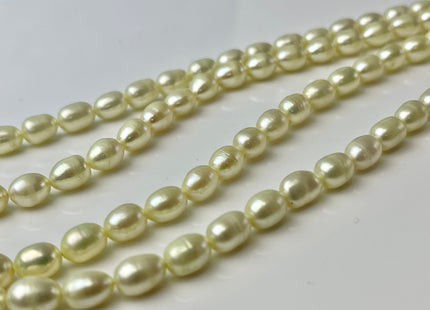 6x8 mm Rice / Oval Freshwater Pearls Baby Yellow Color Genuine Freshwater Pearl Beads Rare Baby Yellow Color Oval Pearls #1573
