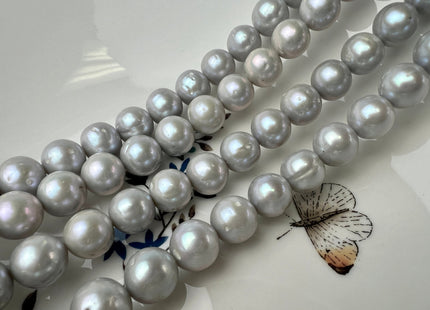 11-12mm Silver Gray Large Hole Semi-Round Freshwater Pearl Beads 2.2mm Hole, Gray Semi Round Pearl, Genuine Freshwater Pearls #50