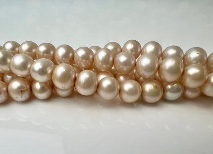 7.5-8 mm AA Pale Beige Champagne Semi Round Freshwater Pearl Beads Genuine Freshwater Pearl  #P2552