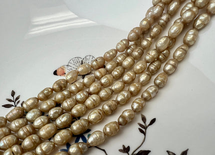 6x8 mm Beige Champagne Color Faceted Rice/Oval Freshwater Pearl Beads Genuine Faceted Freshwater Pearls #P2536