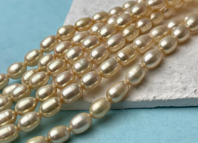 7x9 mm AAA High Luster Multi Light Gold Champagne Rice/Oval Freshwater Pearl Beads Genuine Freshwater Pearl #P2581