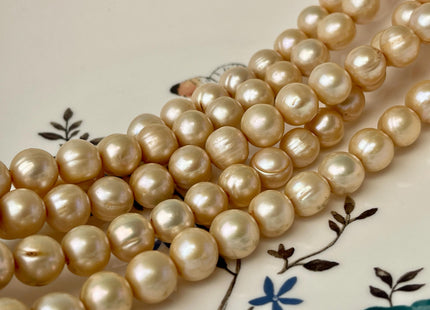 9-9.5 mm Semi Round Freshwater Pearl Beads Gold Champagne Color Genuine Cultured Freshwater Pearl Beads #P2598