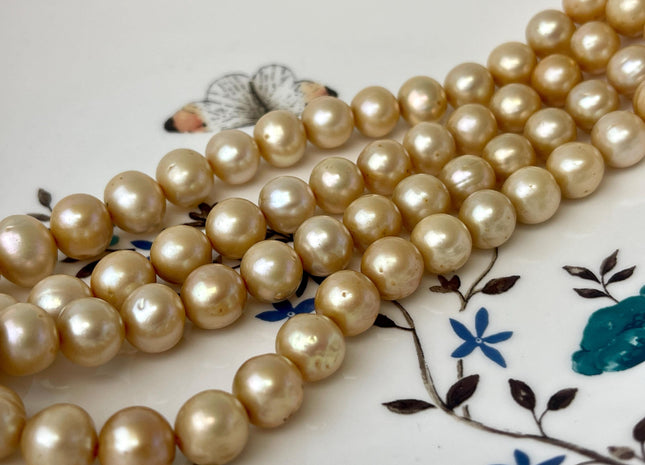 8-10 mm Champagne Color Semi-Round or Potato Freshwater Pearl Beads High Luster Genuine Champagne Color Potato Freshwater Pearls #P2623