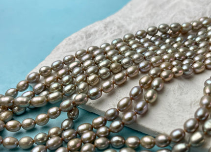 5x7 mm AAAA Greenish Champagne Color Rice/Oval Freshwater Pearl Beads Genuine Smooth And High Luster Freshwater Pearl #P2631