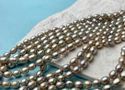 5x7 mm AAAA Greenish Champagne Color Rice/Oval Freshwater Pearl Beads Genuine Smooth And High Luster Freshwater Pearl #P2631