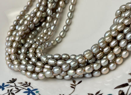 5x7 mm AAAA Greenish Champagne Color Rice/Oval Freshwater Pearl Beads Genuine Smooth And High Luster Freshwater Pearl #P2631