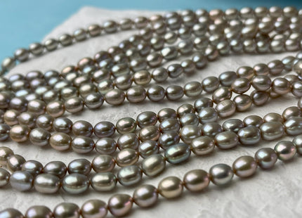5x7 mm AAAA Greenish Champagne Color Rice/Oval Freshwater Pearl Beads Genuine Smooth And High Luster Freshwater Pearl #P2631
