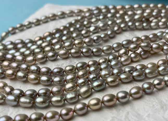 5x7 mm AAAA Greenish Champagne Color Rice/Oval Freshwater Pearl Beads Genuine Smooth And High Luster Freshwater Pearl #P2631