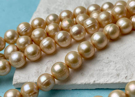 9-9.5 mm Semi Round Freshwater Pearl Beads Gold Champagne Color Genuine Cultured Freshwater Pearl Beads #P2598