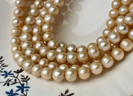 9-9.5 mm Semi Round Freshwater Pearl Beads Gold Champagne Color Genuine Cultured Freshwater Pearl Beads #P2598