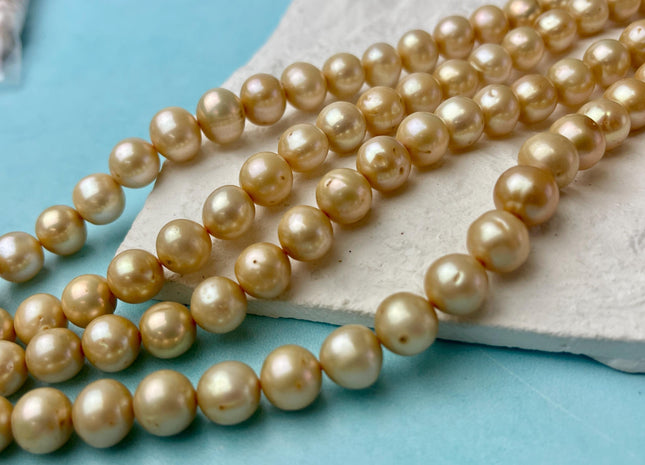 8-10 mm Champagne Color Semi-Round or Potato Freshwater Pearl Beads High Luster Genuine Champagne Color Potato Freshwater Pearls #P2623