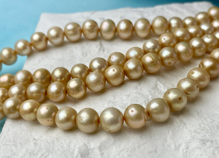8-10 mm Champagne Color Semi-Round or Potato Freshwater Pearl Beads High Luster Genuine Champagne Color Potato Freshwater Pearls #P2623