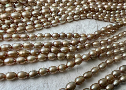 4x5-6 OR 5.5x7.5 mm AA Taupe Champagne Rice/ Oval Shape Freshwater Pearl Beads Genuine Freshwater Rice Pearls #P2677