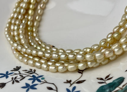 5x6-7 mm AAA High Luster Multi Light Gold Champagne Rice/Oval Freshwater Pearl Beads Genuine Freshwater Pearl #P2701