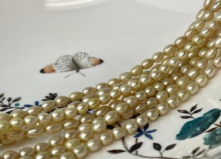 5x6-7 mm AAA High Luster Multi Light Gold Champagne Rice/Oval Freshwater Pearl Beads Genuine Freshwater Pearl #P2701