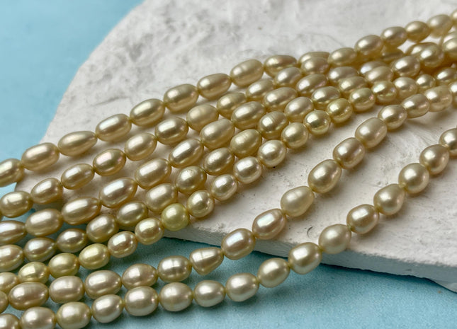 5x6-7 mm AAA High Luster Multi Light Gold Champagne Rice/Oval Freshwater Pearl Beads Genuine Freshwater Pearl #P2701
