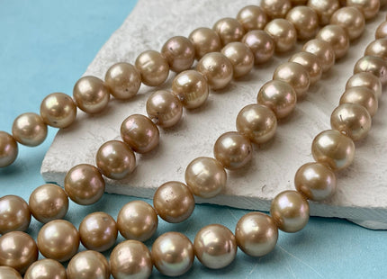 10mm Large Hole Off Round Gold Champagne Freshwater Pearl Beads Hole Size 1.5mm 2.2mm Genuine Freshwater Pearls 40 Beads #P2699