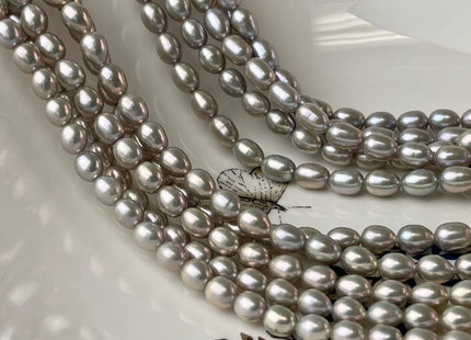 5.5-6x7-9 mm AAAA Gray Color Freshwater Pearls Rice/Oval Shape Pearl Beads Genuine Super High Luster Freshwater Pearls #P2702