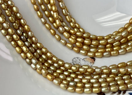 3.5-4x5 mm AA High Luster Gold Color Rice/Oval Freshwater Pearl Beads Genuine Tiny Small Freshwater Rice Pearl #P2712