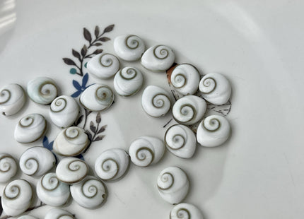5 Pieces 10x12mm Tear Drop Shape Shiva Eye Shell Beads #4506
