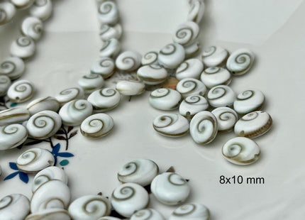 5 Pieces 6x8mm 8x10mm 12x14mm Oval Shape Shiva Eye Shell Beads #4507