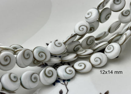 5 Pieces 6x8mm 8x10mm 12x14mm Oval Shape Shiva Eye Shell Beads #4507