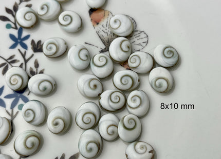 5 Pieces 6x8mm 8x10mm 12x14mm Oval Shape Shiva Eye Shell Beads #4507