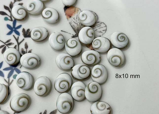 5 Pieces 6x8mm 8x10mm 12x14mm Oval Shape Shiva Eye Shell Beads #4507