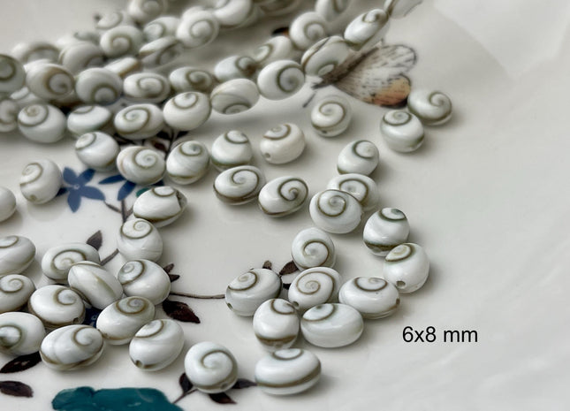 5 Pieces 6x8mm 8x10mm 12x14mm Oval Shape Shiva Eye Shell Beads #4507