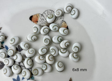 5 Pieces 6x8mm 8x10mm 12x14mm Oval Shape Shiva Eye Shell Beads #4507