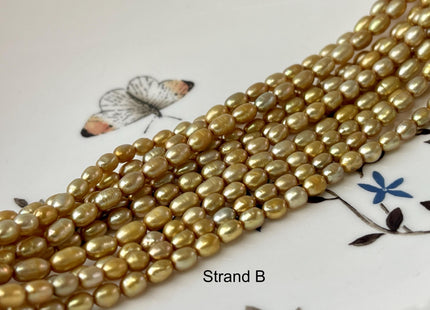 3.5-4x5 mm AA High Luster Gold Color Rice/Oval Freshwater Pearl Beads Genuine Tiny Small Freshwater Rice Pearl #P2712