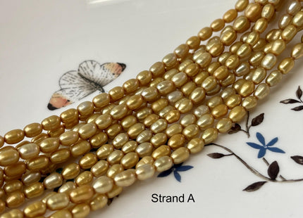 3.5-4x5 mm AA High Luster Gold Color Rice/Oval Freshwater Pearl Beads Genuine Tiny Small Freshwater Rice Pearl #P2712