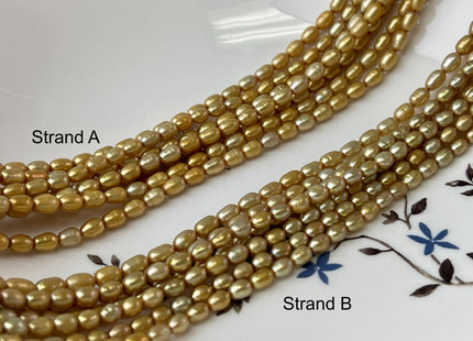 3.5-4x5 mm AA High Luster Gold Color Rice/Oval Freshwater Pearl Beads Genuine Tiny Small Freshwater Rice Pearl #P2712
