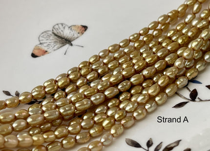 3.5-4x5 mm AA High Luster Gold Color Rice/Oval Freshwater Pearl Beads Genuine Tiny Small Freshwater Rice Pearl #P2712