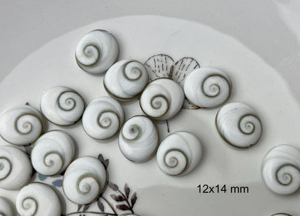 5 Pieces 6x8mm 8x10mm 12x14mm Oval Shape Shiva Eye Shell Beads #4507