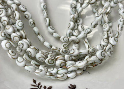 5 Pieces 6x8mm 8x10mm 12x14mm Oval Shape Shiva Eye Shell Beads #4507